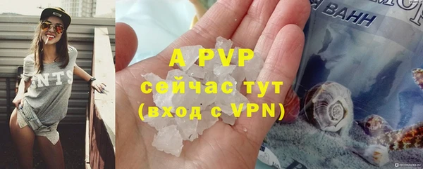 СК Михайлов