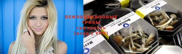 СК Михайлов