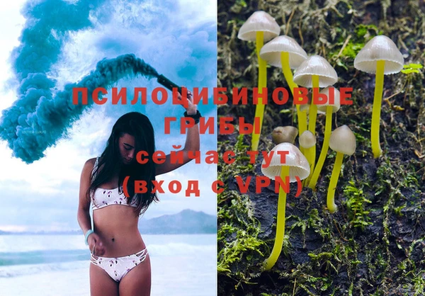 кокс Михайловск